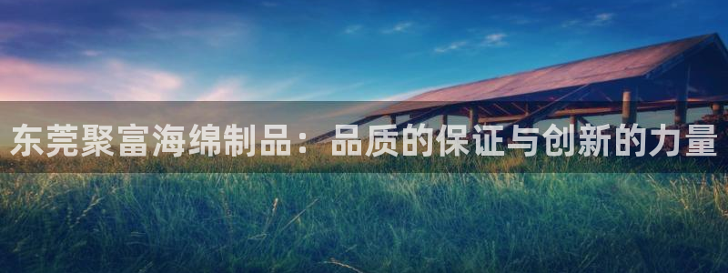 东莞聚富海绵制品：品质的保证与创新的力量