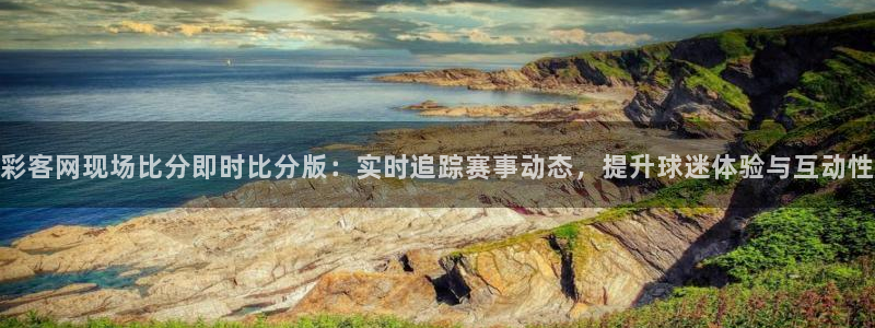 彩客网现场比分即时比分版：实时追踪赛事动态，提升球迷体验与互动性