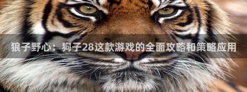 狼子野心：狗子28这款游戏的全面攻略和策略应用