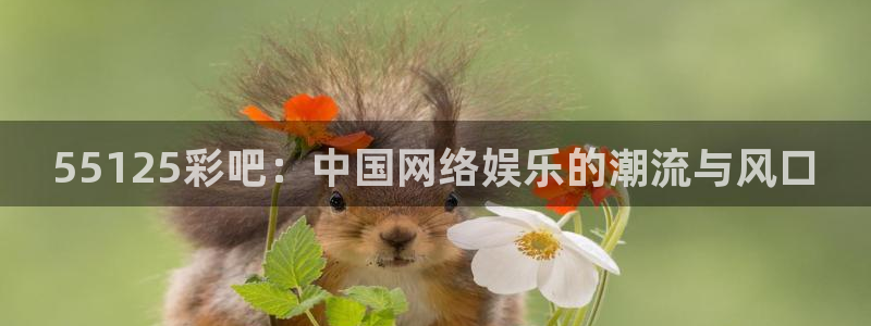 开心彩登录：55125彩吧：中国网络娱乐的潮流与风口
