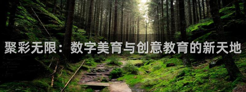 开心彩平台开户链接：聚彩无限：数字美育与创意教育的新天地