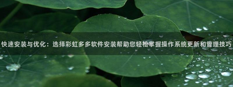 开心彩体育3：快速安装与优化：选择彩虹多多软件安装帮助您轻松掌握操作系统更新和管