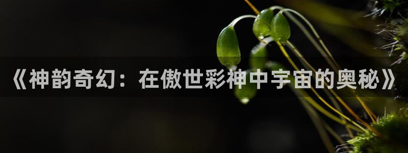 开心彩vk：《神韵奇幻：在傲世彩神中宇宙的奥秘》